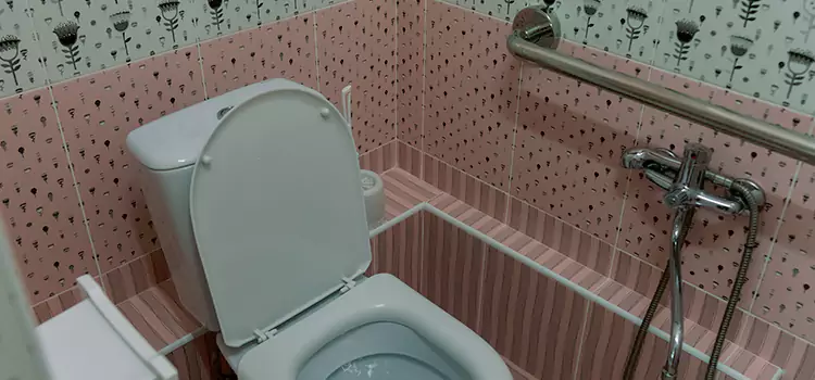Meeting Diverse Needs With Accessible Restroom Solutions in Lakeville, MN