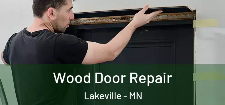 Wood Door Repair Lakeville - MN